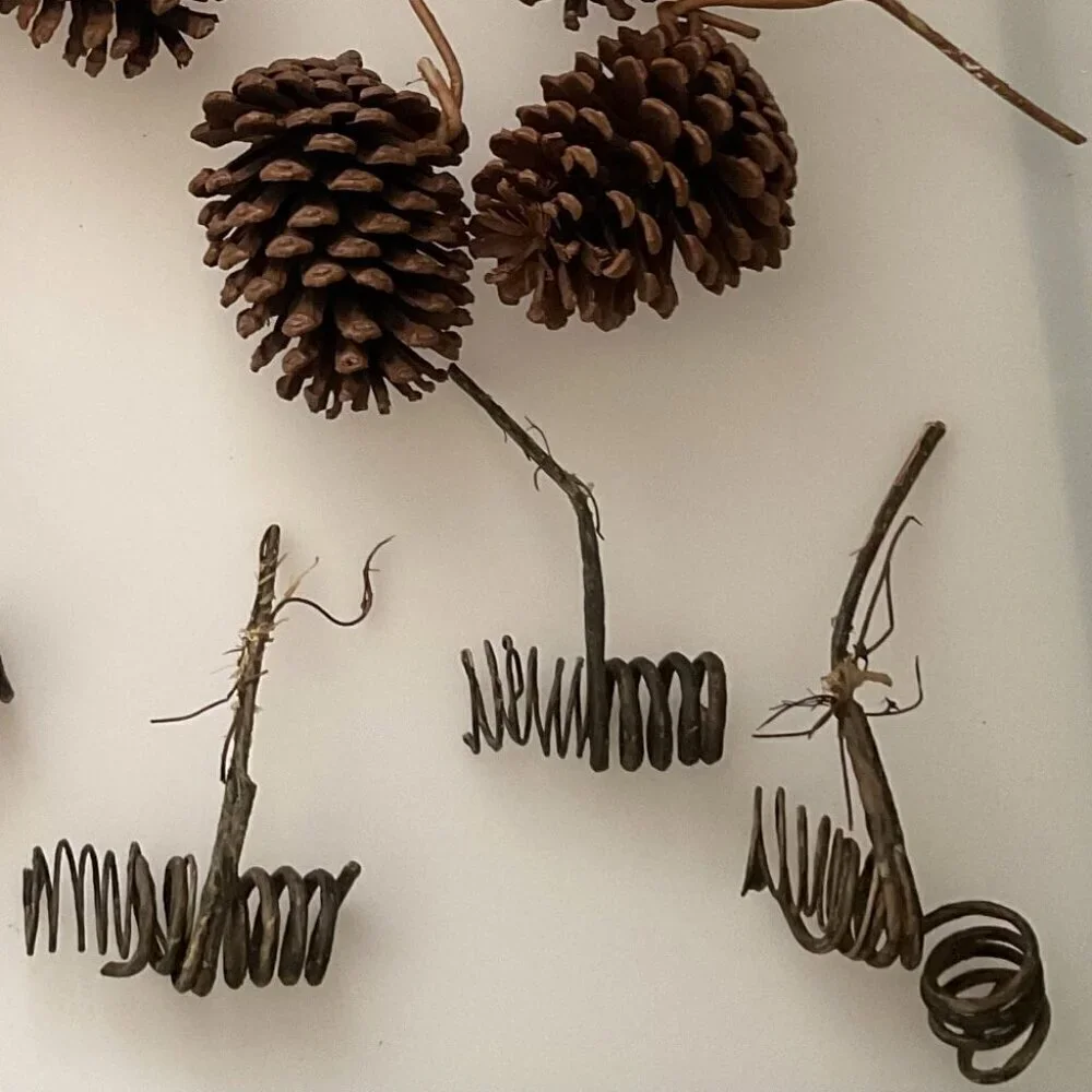 DIY PINE CONES AND CURLY TWIGS 13 COUNT